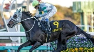 【スプリンターズS予想】3連系には9番人気以降必須？ 過去データから探るGIスプリンターズS