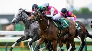 スプリンターズSが行われる中山芝は高速馬場 ジューンブレアが逃げて好配当呼ぶか