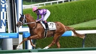 【阪神4R新馬戦結果】オルフェーヴル産駒ジュウリョクピエロが3馬身半差で快勝