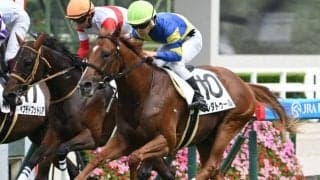 【阪神5R新馬戦結果】ディーマジェスティ産駒プレダトゥールが人気に応えてV