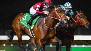 【船橋・日本テレビ盃枠順】秋初戦のフォーエバーヤングは7枠7番、復帰戦のキングズソードは2枠2番