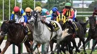 【JRA・WIN5】本日のWIN5は的中19票、配当2964万8050円