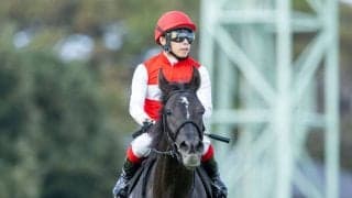 【茨城新聞杯】良血ショウナンサムデイが人気に応える