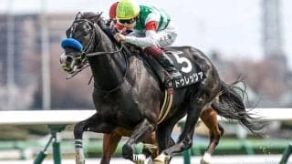 【京都大賞典】ドゥレッツァ、ショウナンラプンタらが登録