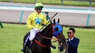 【スプリンターズS】リョン「初めての環境では厳しかった」香港馬ラッキースワイネスは11着に敗れる