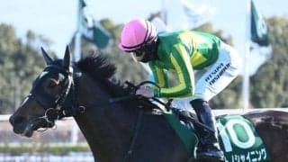 毎日王冠と京都大賞典 海外では凱旋門賞/今週の競馬界の見どころ