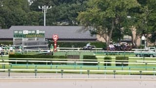 【スプリンターズS】ヤマニンアルリフラ発馬機トラブルで出遅れ15着…団野大成騎手に戒告処分