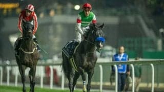 【京都大賞典登録馬】ドゥレッツァ、アドマイヤテラなど19頭