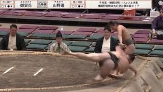 “回転”落下の力士を\"がっちり\"キャッチ あわや顔面キック被弾で衝撃ファインプレー「避けないのかっこいい」