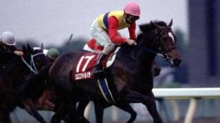 前哨戦を制し凱旋門賞に挑んだ馬たち エルコンドルパサーの歴史的な名レース