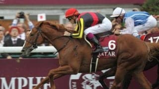 「あなたの思い出の凱旋門賞は？」 熱い声が集まった“記憶の名勝負”たち