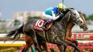 【京都大賞典見どころ】成長著しいアドマイヤテラが重賞連勝を狙う