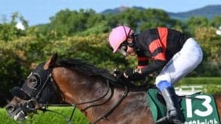 【シリウスS】売上は38億4380万2500円で昨年より約2.6億円増加