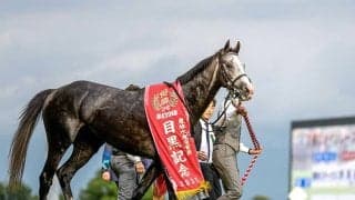 【京都大賞典想定騎手】アドマイヤテラは川田将雅騎手、ドゥレッツァは横山武史騎手