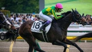 【毎日王冠想定騎手】サトノシャイニングは武豊騎手、ホウオウビスケッツは岩田康誠騎手