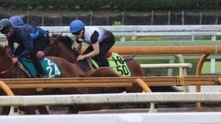 半兄にJpnI馬ライトウォーリアがいる血統 ガーネットフレアが土曜京都で初陣/関西馬メイクデビュー情報