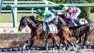 【先週のJRA抹消馬】ダート短距離6勝のスズカコテキタイ、今年の阪神大賞典2着のマコトヴェリーキーなど