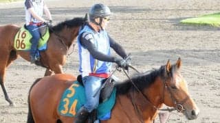 ダイナカール牝系に属する良血 土曜東京で初陣迎えるサントマーレ/関東馬メイクデビュー情報