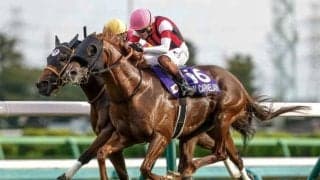 先週末の重賞を血統背景から深堀り ウインカーネリアンはニックスといえる配合構成