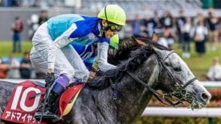 【京都大賞典展望】データが示す軸馬はアドマイヤテラ、前走GI組が続く