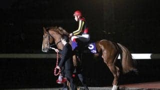 前哨戦を制し凱旋門賞に挑んだ馬たち ゴール寸前での差し返しに涙したオルフェーヴル