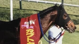 伏兵スガノオージの逃げ切りから30年 重賞初制覇となった毎日王冠