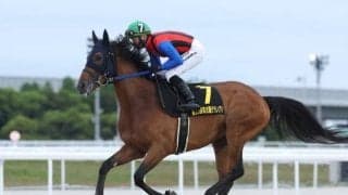 【金沢・白山大賞典注目馬】当地唯一のダートグレード競走 地元の名手がシンメデージーとビッグタイトルをつかむか