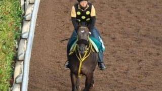 サマリーズの2023(ウェンロック)など、先週のゲート試験/栗東トレセンニュース