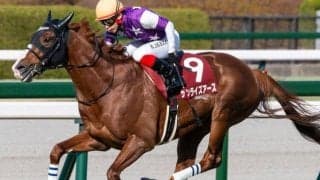 【京都大賞典】史上4頭目の偉業なるか サンライズアースが重賞2勝目狙う