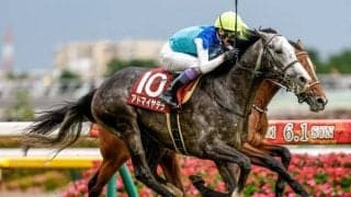 【京都大賞典予想オッズ】アドマイヤテラが予想1番人気