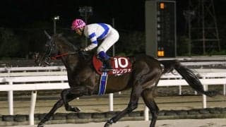 【園田チャレンジC】中央で磨いた末脚、地方で花開く…ロレンツォが重賞初制覇