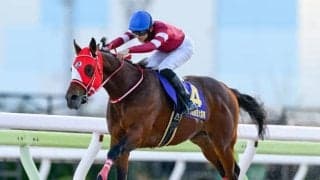 【船橋・日本テレビ盃注目馬】国内外のダート大舞台を目指す各馬が始動