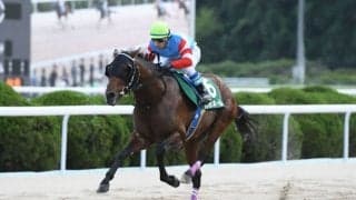 【YJSトライアル佐賀】松本一心＆青海大樹が主役、西日本地区ポイント争い激化