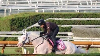 マルガ、アルテミスS追い切り速報/栗東トレセンニュース