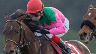 【京都大賞典】史上2頭目の偉業に挑戦 プラダリアが復活のGII・4勝目なるか