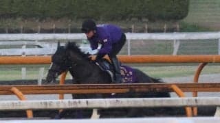 カムニャック、秋華賞2週前追い切り速報/栗東トレセンニュース