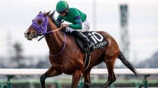 【毎日王冠予想】実績乏しくてもAIが太鼓判 重賞初制覇に期待した一頭とは？