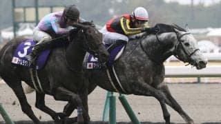 マッドクールが引退…種牡馬入り