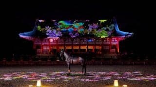 京都の夜を鮮やかに彩る！平安神宮奉納ライトアップ、プロジェクションマッピングが開催