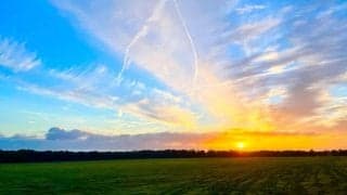 BOKUJOB2024 関西フェアを京都競馬場で開催