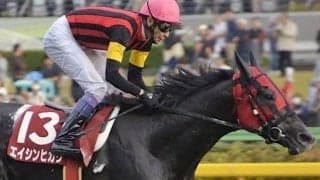 マグナーテン以来の毎日王冠逃げ切りV エイシンヒカリの快走から10年
