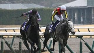 24年高松宮記念覇者マッドクールが登録抹消 今後は優駿SSで種牡馬入りの予定