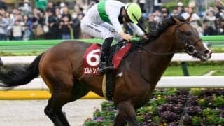 【毎日王冠】史上2頭目の隔年制覇なるか エルトンバローズが復活期す