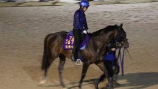 ソウルラッシュ、富士S2週前追い切り速報/栗東トレセンニュース