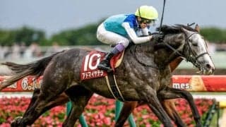 【京都大賞典出走馬・騎手確定】アドマイヤテラ＆川田将雅騎手、ショウナンラプンタ＆松山弘平騎手など18頭