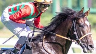 半兄は三冠皆勤のマル地馬ナイママ グリーンガーネットが初陣だ