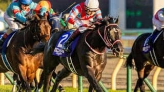 いとこは名馬コントレイル ラコンチャビエンがデビュー勝ち狙う