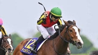 【毎日王冠枠順確定】チェルヴィニアは6枠6番、サトノシャイニングは8枠10番