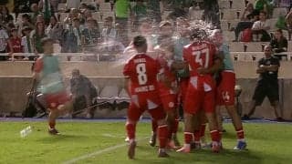 「流石にやりすぎ」サポーターがゴールを喜ぶ相手選手らを襲撃「選手に当たってるやん」佐野海舟の出場試合でペットボトルを投げつける愚行発生！一時中断の事態に