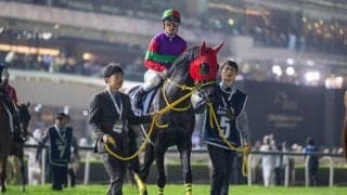 【東京盃】クロジシジョーなどJRA馬5頭